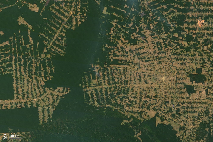 Bild på avskogning av Amazonas
